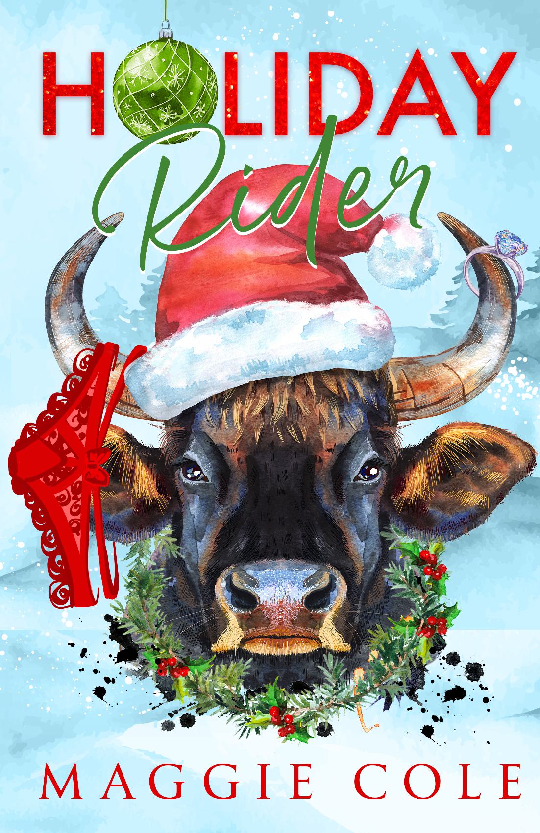 Holiday Rider (Discreet)