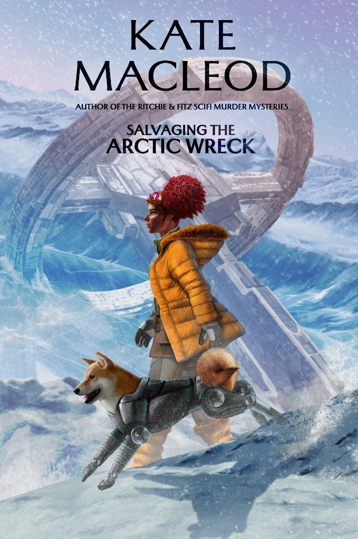 Salvaging the Arctic Wreck