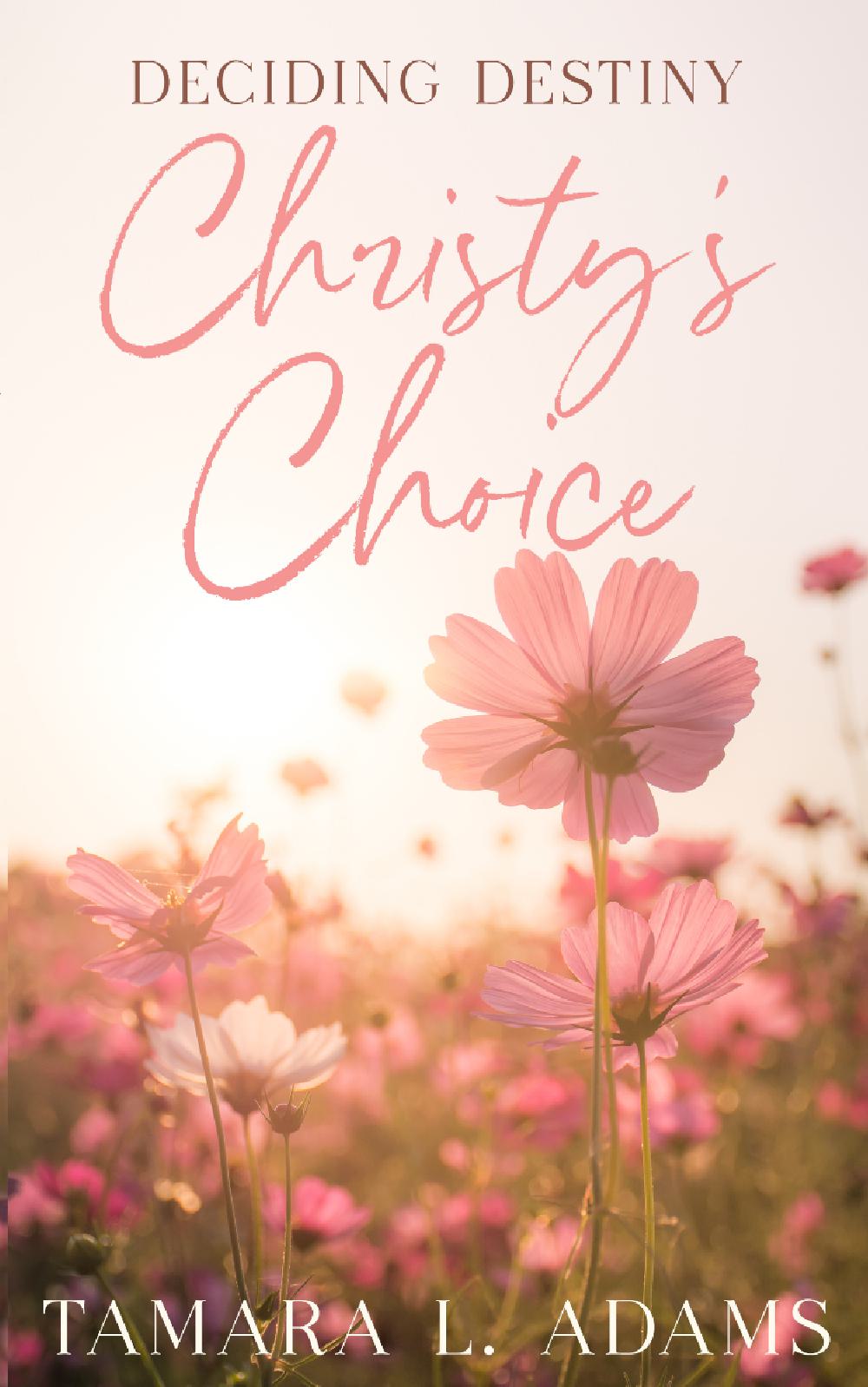 Deciding Destiny: Christy's Choice