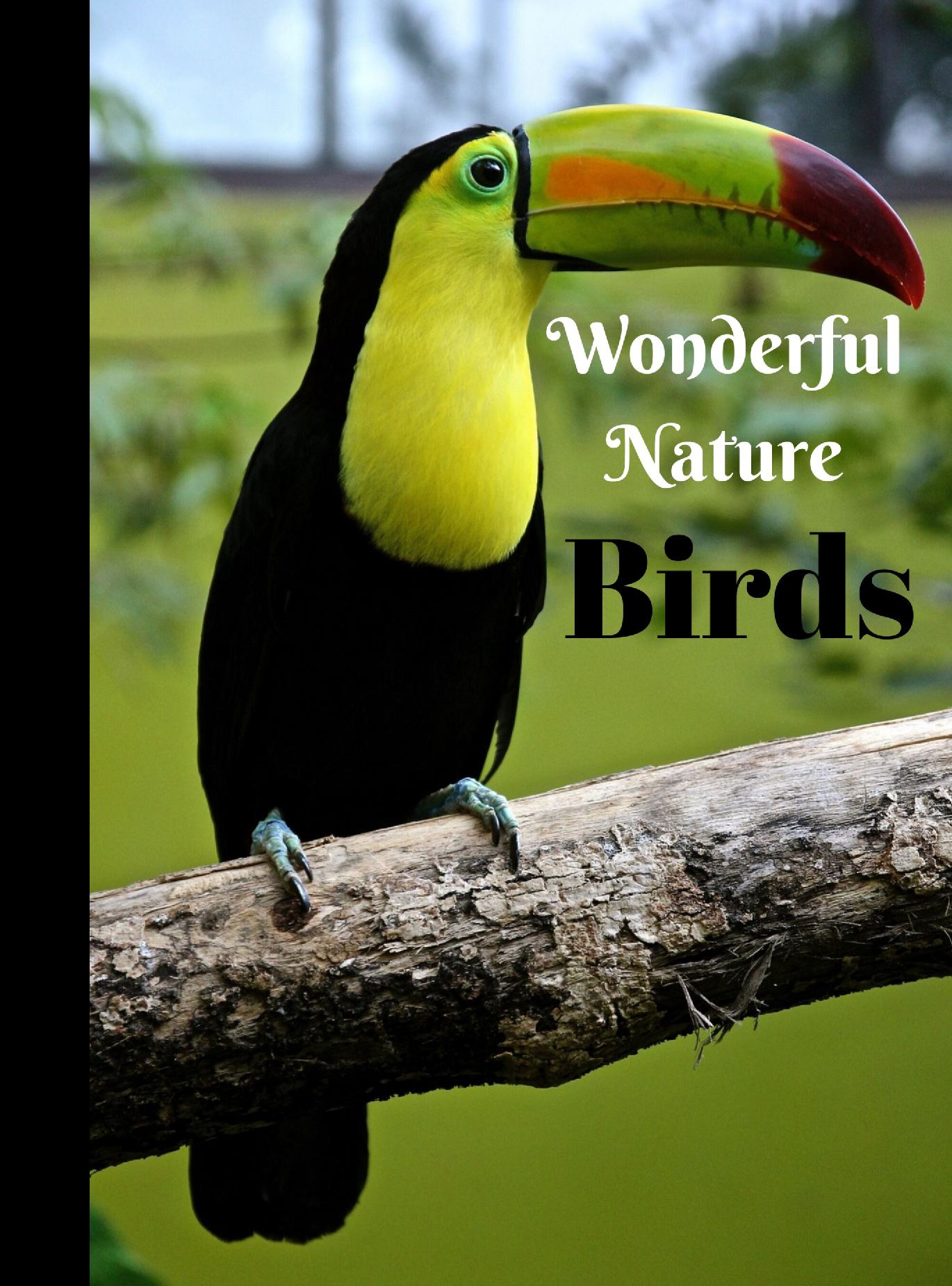 Wonderful Nature Birds