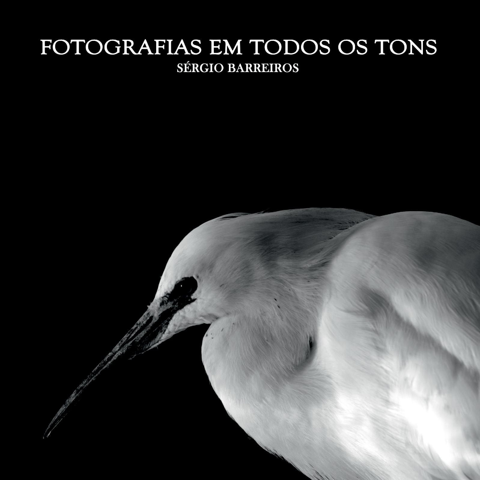Fotografias Em Todos Os Tons