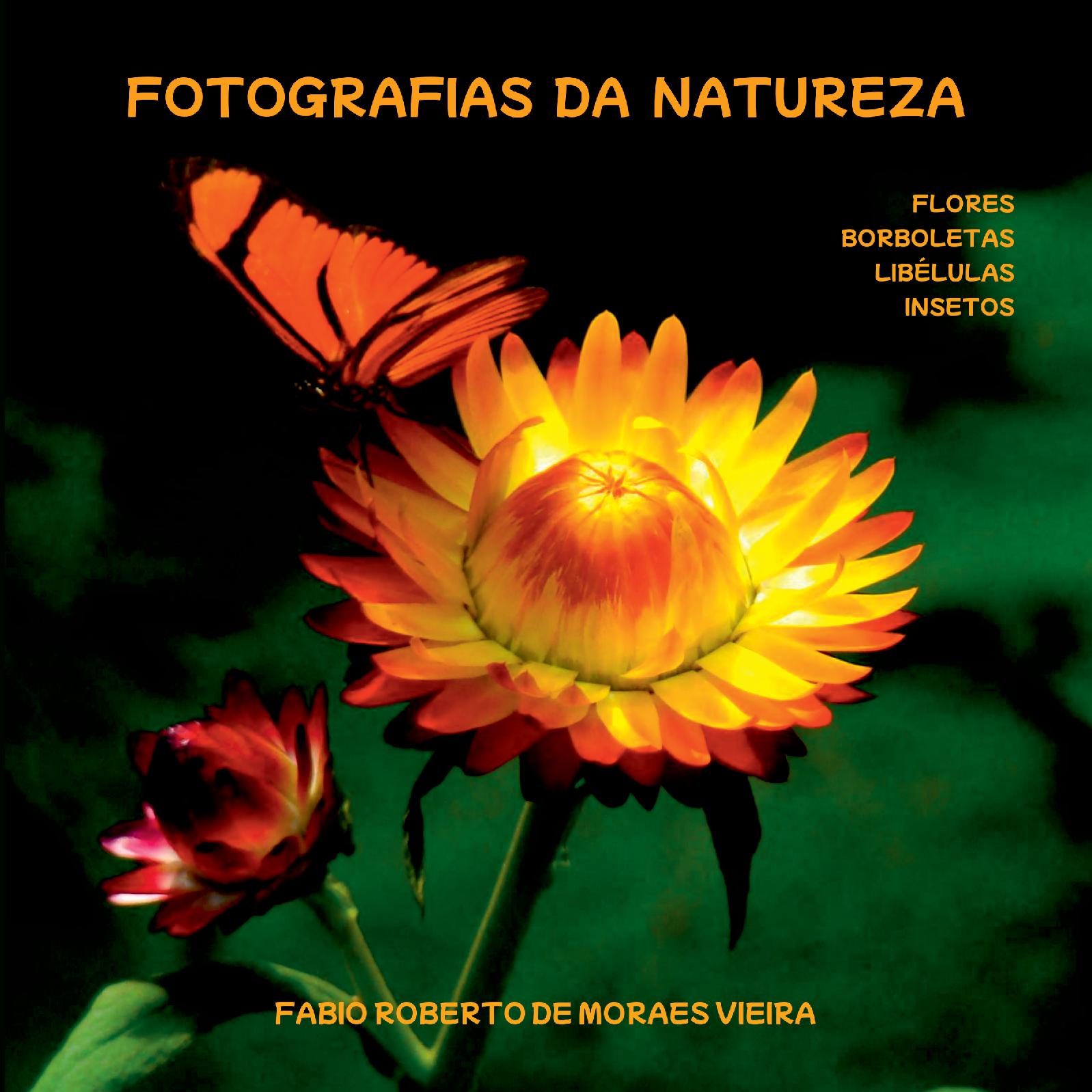 Fotografias Da Natureza - Flores, Borboletas, Libélulas E Insetos.