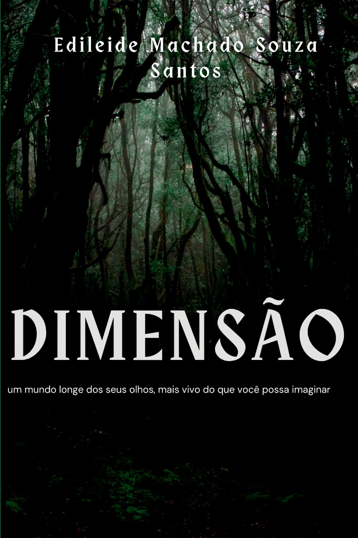 Dimensão