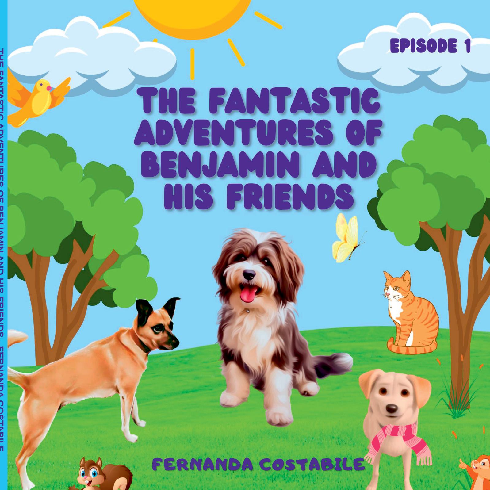 The Fantastic Adventures Of Benjamin And His Friends