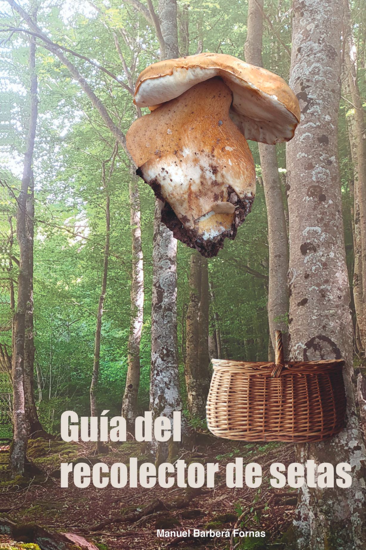 Guía Del Recolector De Setas