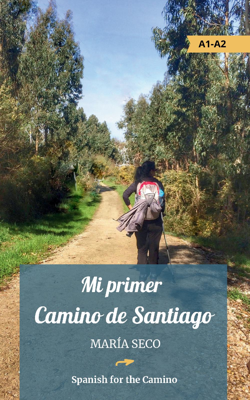 Mi primer Camino de Santiago