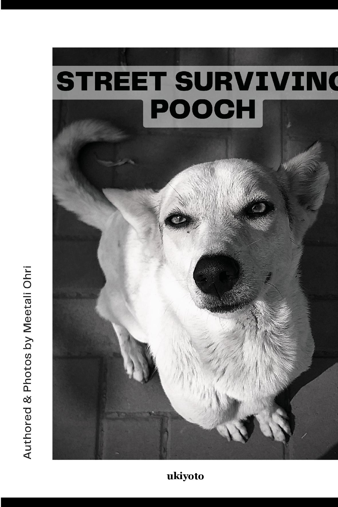 Street Surviving Pooch