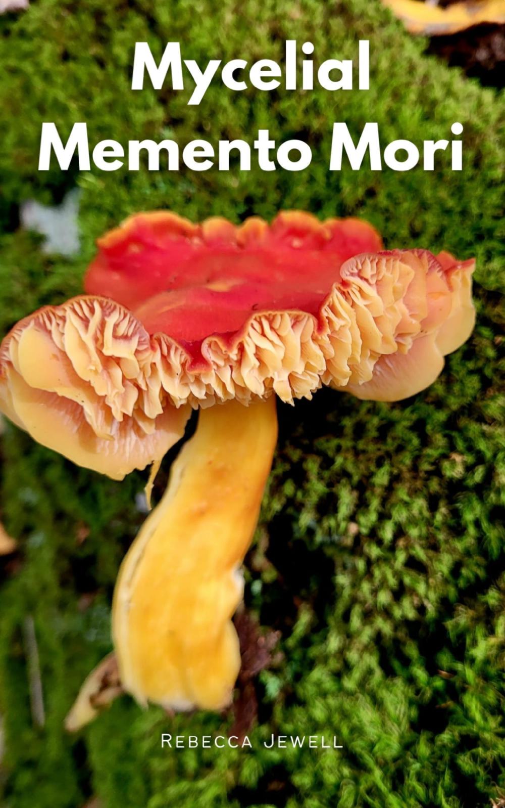 Mycelial Memento Mori