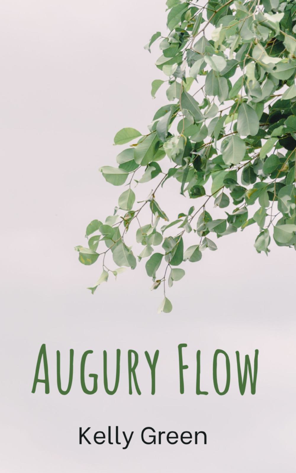 Augury Flow