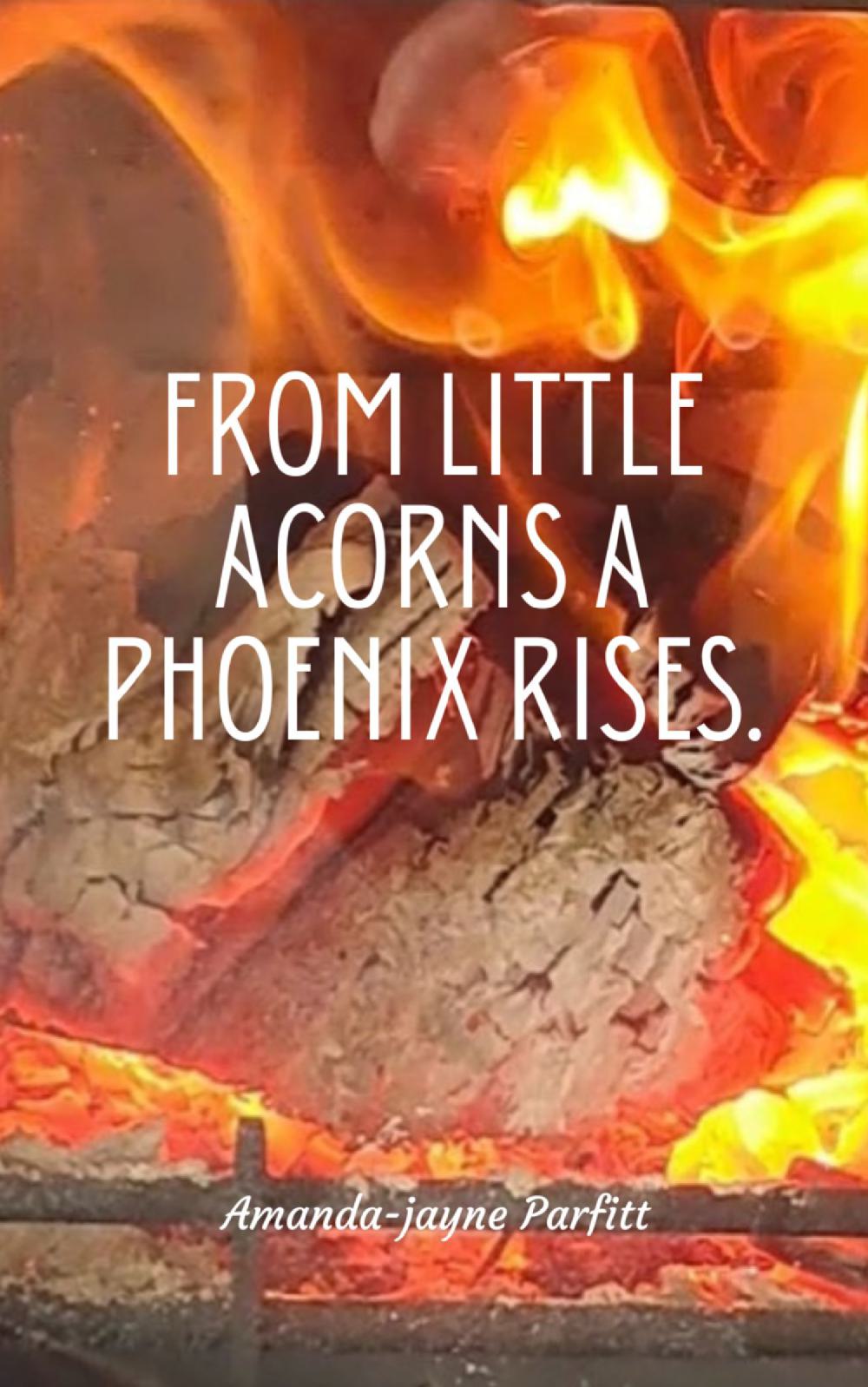 From little acorns a Phoenix rises.