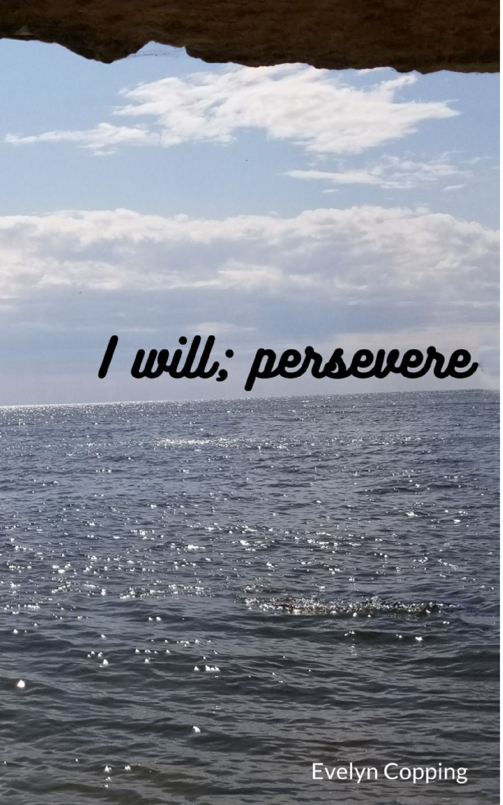 I will; persevere