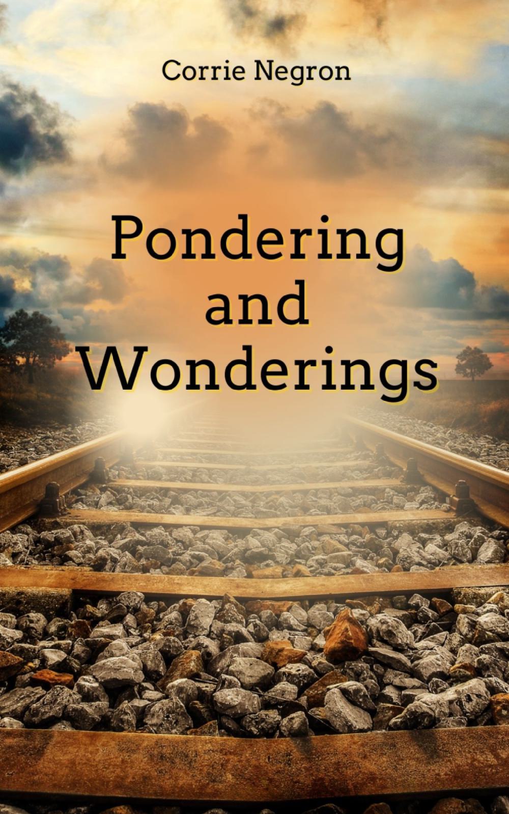 Pondering and Wonderings