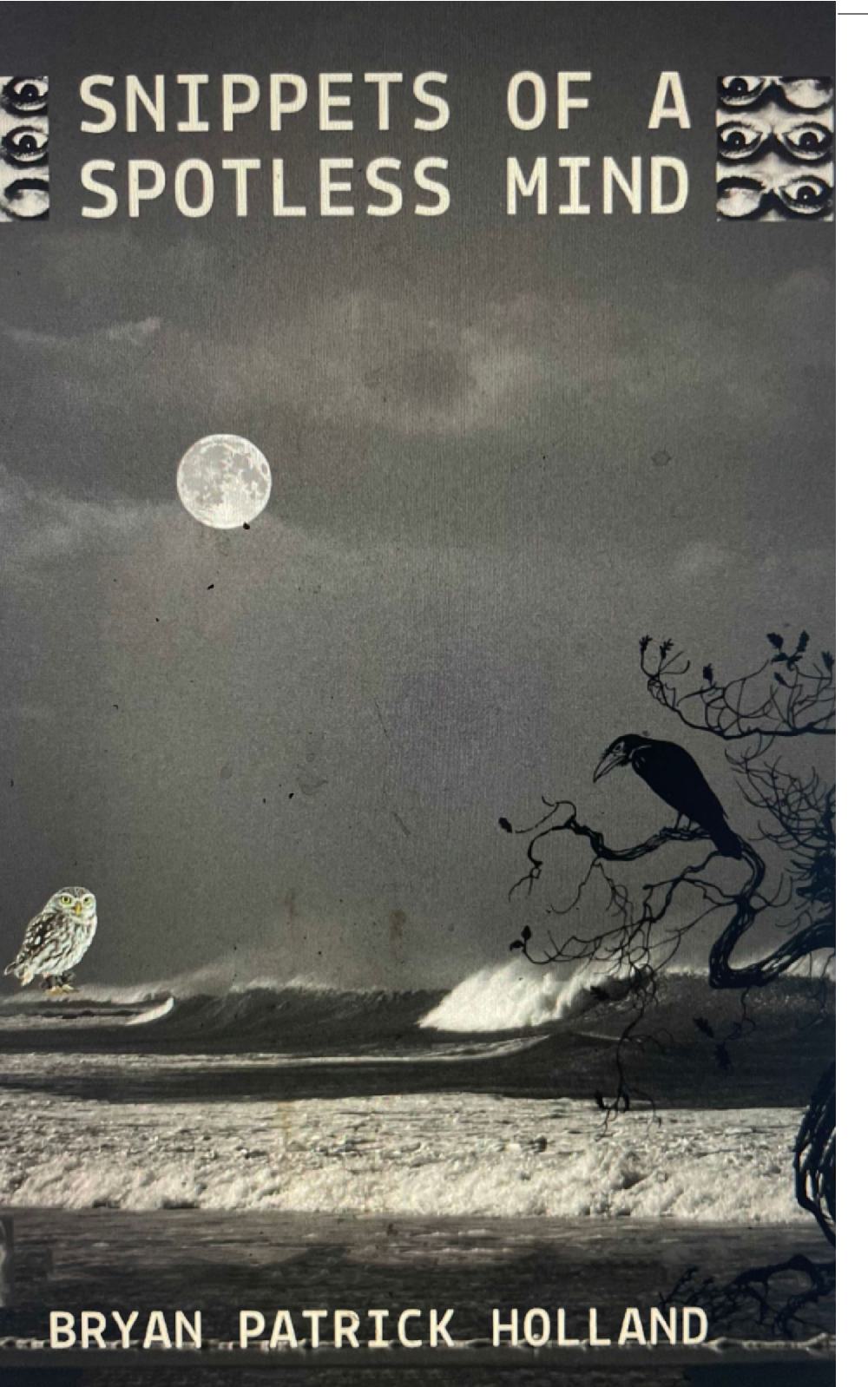 Snippets of a Spotless Mind