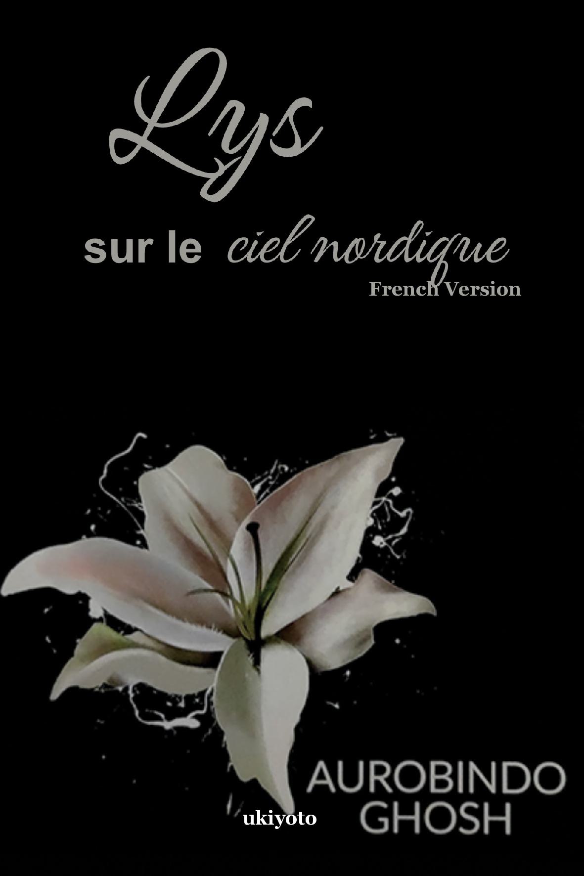 Lys sur le ciel nordique