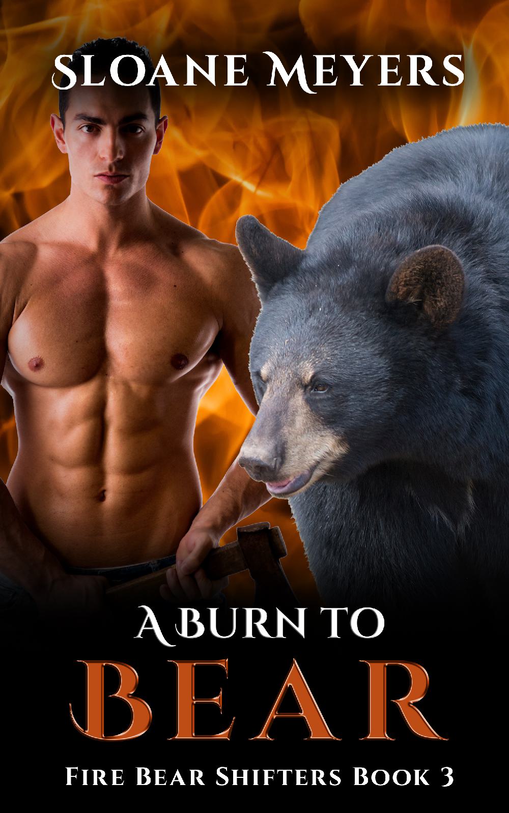 A Burn to Bear - Fire Bear Shifters Book 3
