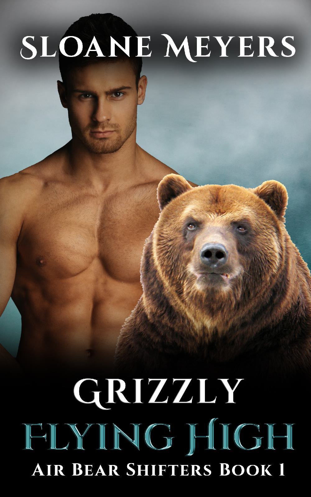 Grizzly Flying High - Air Bear Shifters Book 1