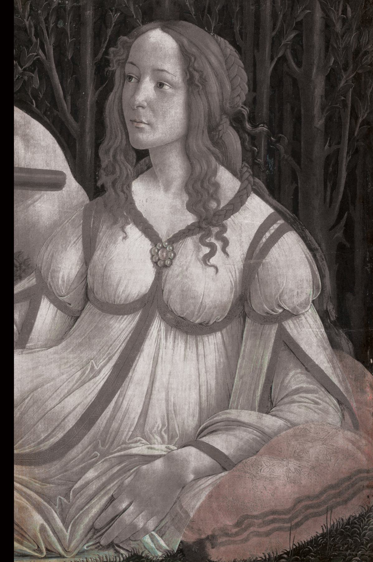 The Adoration of Simonetta: British Edition
