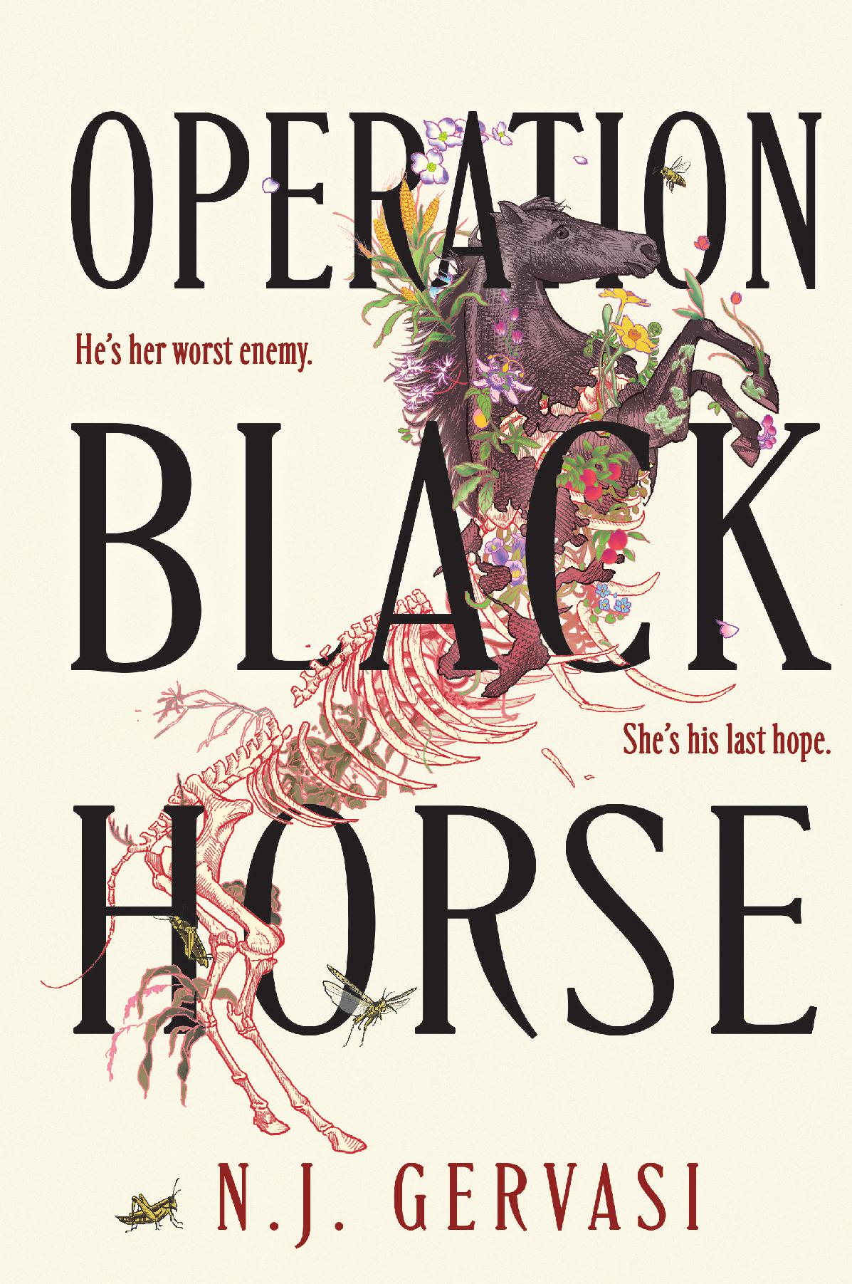 Operation Black Horse